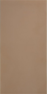 Casalgrande Padana R-Evolution Terra 60x120