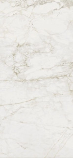 Century Medley Prince Brushed Rect 60x120