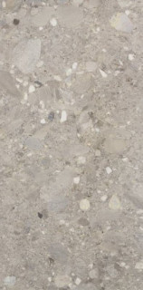 Cercom Ceppo Grigio Rett 60x120