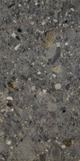 Cercom Ceppo Nero Rett 60x120