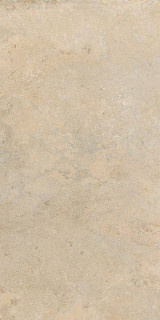 Cercom Stone Vision Golden Nat Ret 60x120H0.95