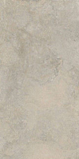 Cercom Stone Vision Ash Nat Ret 60x120H0.95