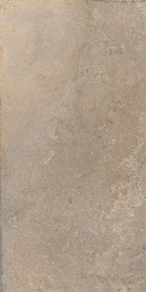 Cercom Stone Vision Mud Nat Ret 60x120H0.95