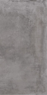 Cerdomus Legarage Silver Matt. 50x100