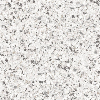Cerdomus Neoclassica Aulite Levigato 120x120H0.85