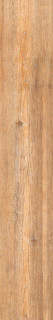 Cerdomus Opera Gold Safe 20x120