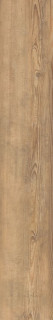 Cerdomus Opera Walnut Safe 20x120