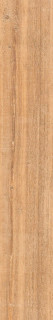 Cerdomus Opera Gold Rettificato 20x120