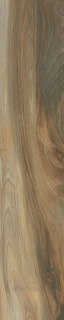 Cerdomus Savanna Honey 20X100