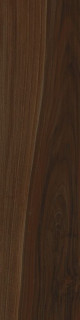 Cerdomus Savanna Brandy 15x60
