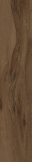 Cerdomus Savanna Cinnamon 20X100