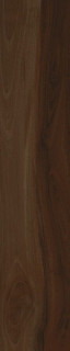 Cerdomus Savanna Brandy 20X100