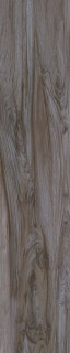 Cerdomus Savanna Sepia 20X100