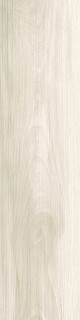 Cerdomus Savanna Milk 15x60