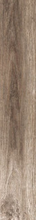 Cerdomus Shine Walnut 20x120