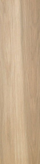 Cir & Serenissima Acanto Miele Rett 20×120
