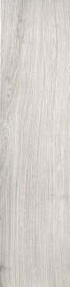 Cir & Serenissima Acanto Bianco Rett 20×120H1
