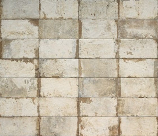 Cir Havana Sugar Cane 20x40