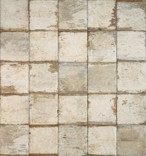 Cir & Serenissima Sugar Cane 20х20