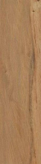 Cir & Serenissima I Lecci Leccio Oliato Rett 10x40H0.95