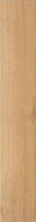 Cir & Serenissima Rovere Naturale Ret 20x120