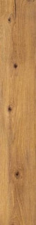 Cir & Serenissima Rovere Intenso Ret 20x120