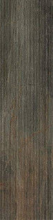 Serenissima Fossil Lines Bruno Ret 30x120