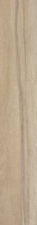 Cir & Serenissima I Lecci Leccio Gentile Rett 20x120H0.95
