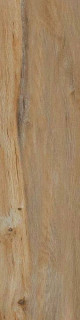 Cir & Serenissima I Lecci Leccio Classico Rett 10x40H0.95