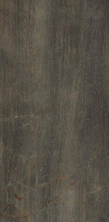 Serenissima Fossil Bruno 60x120