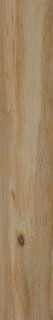 Cir & Serenissima I Lecci Leccio Classico Rett 20x120H0.95