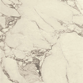 Cir Magistra Lux Paonazzetto 100×100