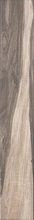Serenissima & Cir Seasons Fall 15x60,8