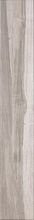 Serenissima & Cir Seasons Winter 15x60,8