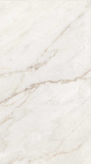 Colli Byron Calacatta Oro 60x119,5