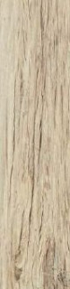 Cisa Xilema Larice 20x80