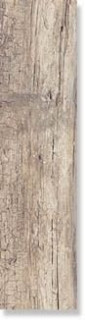 Dado Century Beige 20х120