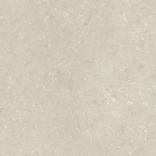 Dado Ceramica Shellstone Beige Matt Rect 120x120H0.95