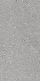 Dado Ceramica Shellstone Grigio 60x120
