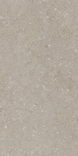 Dado Ceramica Shellstone Taupe 60x120