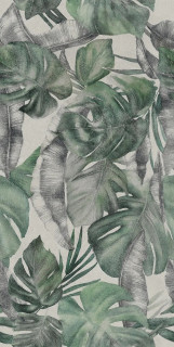 Dado Ceramica Wallpaper Palma Rect 60x120