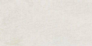 Diesel Camp Army Canvas White 30x60