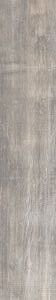 Vignoni Del Conca Grigio 7.5x40