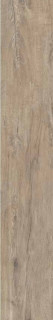 Dom Ceramice Logwood Beige 150x25