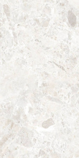 Due-G Breccia Paradiso White Levi 60x120H0.85