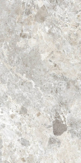 Due-G Breccia Paradiso Silver Levi 60x120H0.85