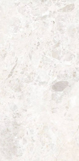 Due-G Breccia Paradiso White Touch 60x120H0.85