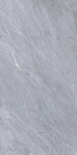 Edimax Reve Gris 60x120H0.9
