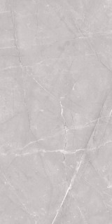 Edimax Velvet Grey 60x120
