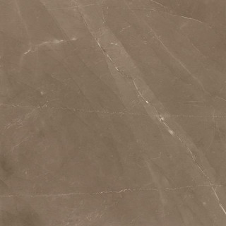 Emil Marmore Canova Marrone Lapp 59х59